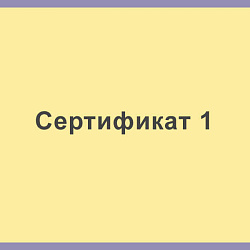 Сертификат 1