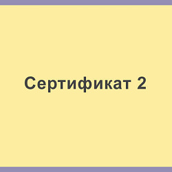 Сертификат 2